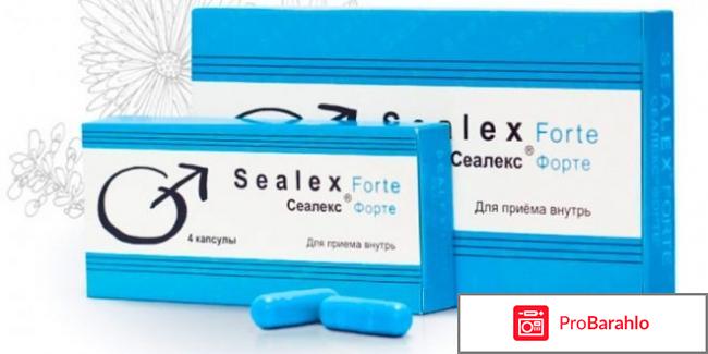 Сеалекс в москве 