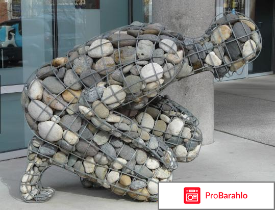 L карнитин отзывы врачей обман