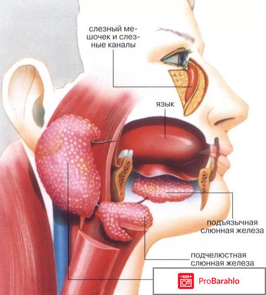 Болезнь Шегрена симптомы лечение отрицательные отзывы