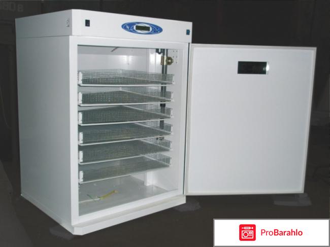 Какой инкубатор лучше купить отзывы 