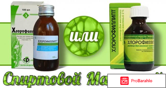 Хлорофиллипт инструкция по применению обман