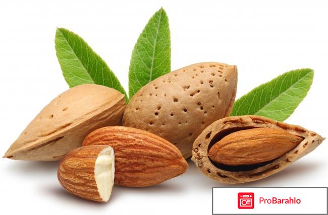 Миндаль: полезные свойства ореха, калорийность отзывы владельцев