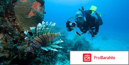 Отдых в Доминиканской республике фото