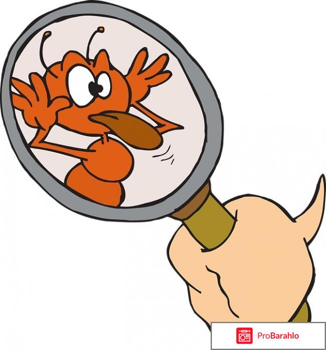 Детские наклейки для ванной отрицательные отзывы