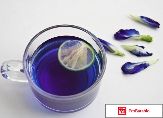 Пурпурный чай чанг-шу отзывы реальные цена в аптеке отрицательные отзывы