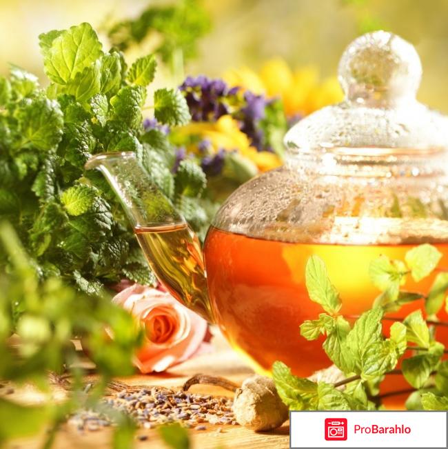 Лечение ожирения народными средствами: сборы трав 