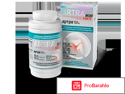 Артра или терафлекс что лучше отзывы врачей 