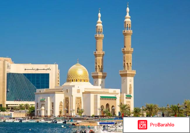 Шарджа оаэ отзывы туристов отзывы владельцев