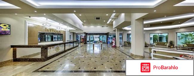 Отзывы euphoria palm beach resort обман