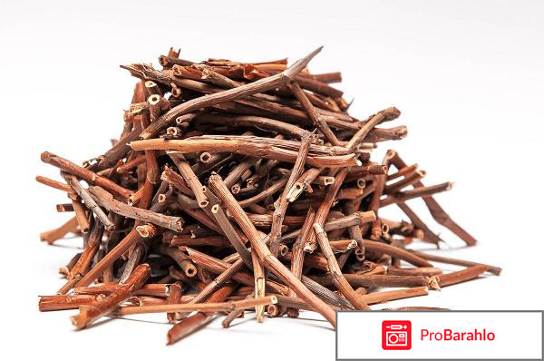 Сабельник болотный применение отзывы обман