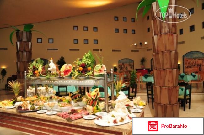 Dessole nesco joyous 