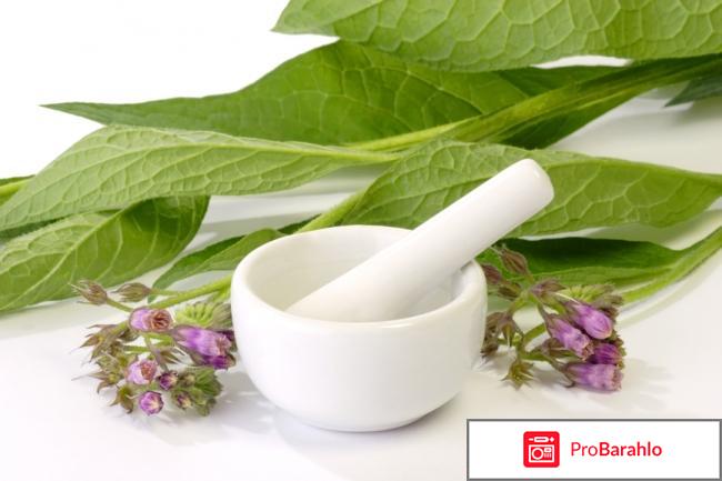 Мазь окопника цена 