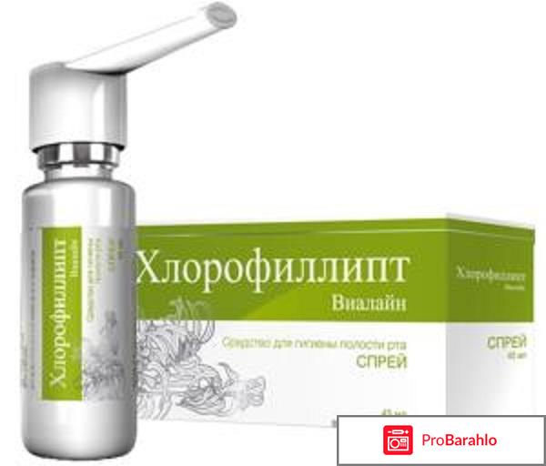 Хлорфиллипт обман