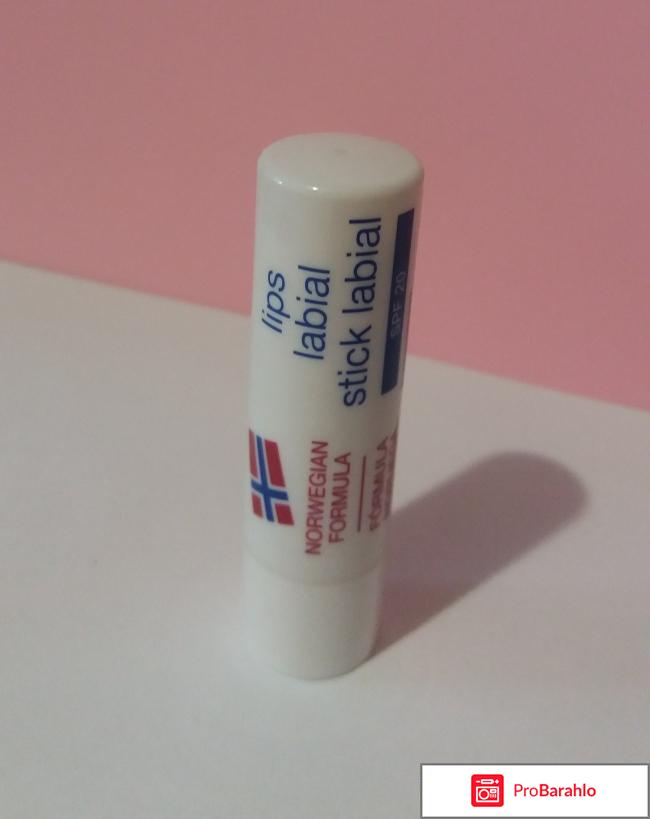 Защитная помада Neutrogena Norwegian Formula Lipcare 