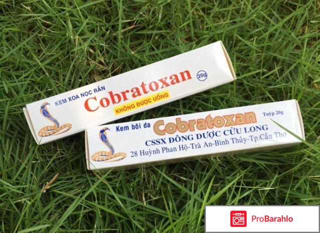 изображение Кобратоксан отзывы отрицательные отзывы