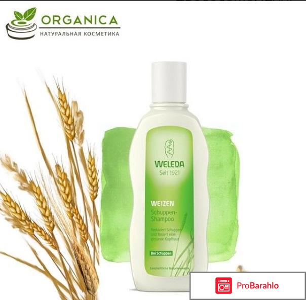 Шампунь веледа отзывы обман