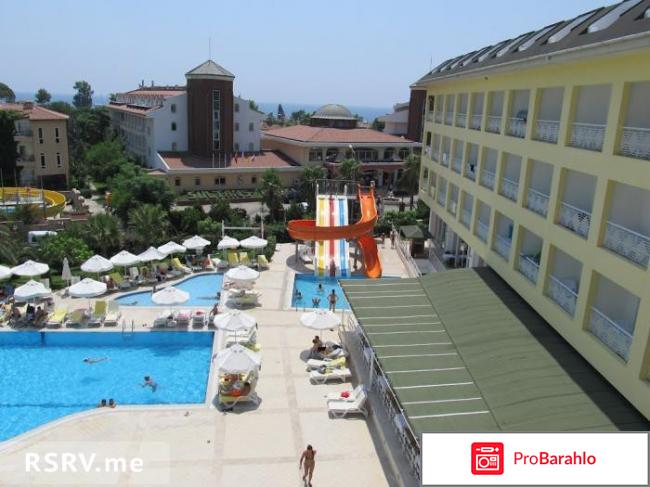 Pine house отрицательные отзывы