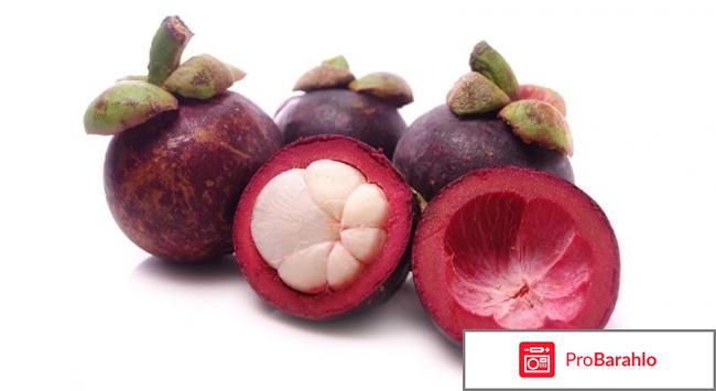 Самое эффективное средство для похудения отзывы 