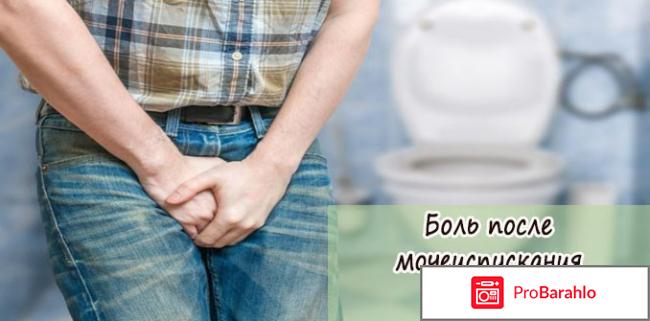 Predstavit отзывы отрицательные реальные отзывы