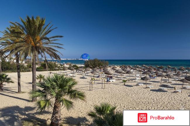 Тунис хаммамет отзывы туристов реальные отзывы