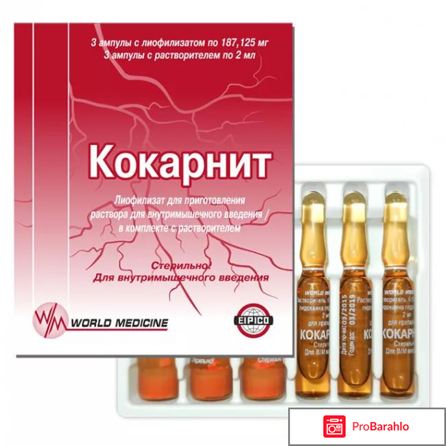 Кокарнит инструкция по применению цена отзывы аналоги обман