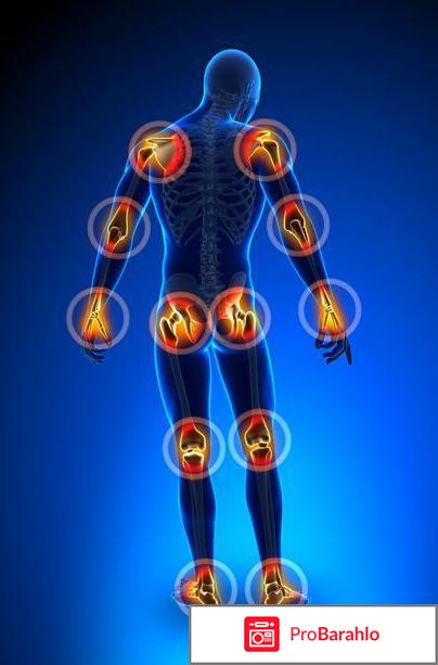 Акулий жир для суставов отзывы 
