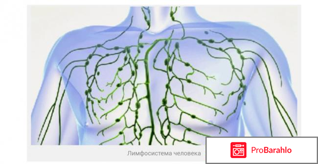 Чистка лимфы солодкой и энтеросгелем отзывы врачей отрицательные отзывы