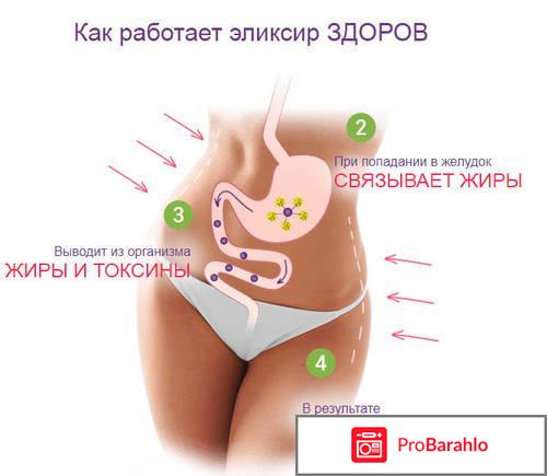 Апиэликсир прополисный для похудения отзывы обман