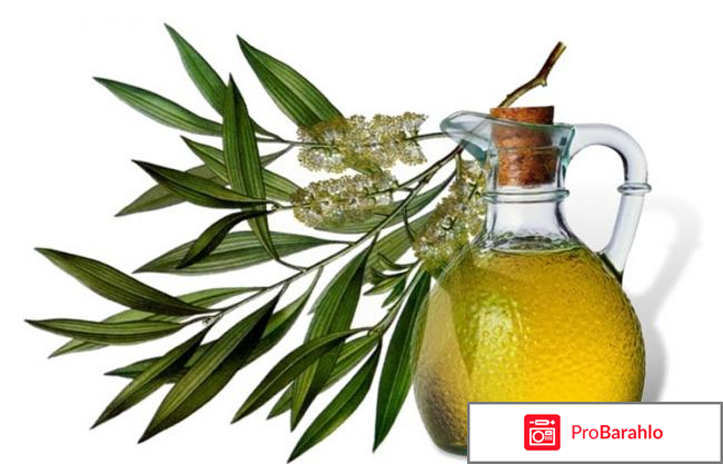 Чайное масло 