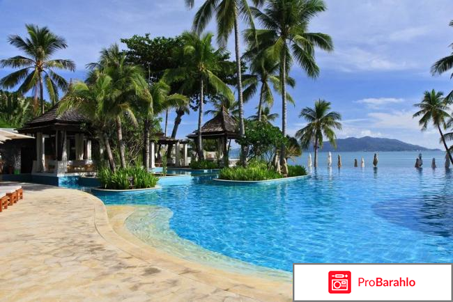 Отзывы туристов о самуи фото