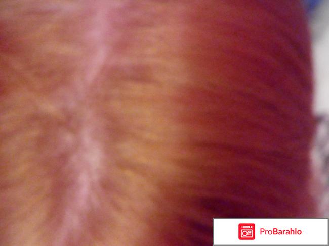 Краска для волос Palette Стойкая крем-краска обман