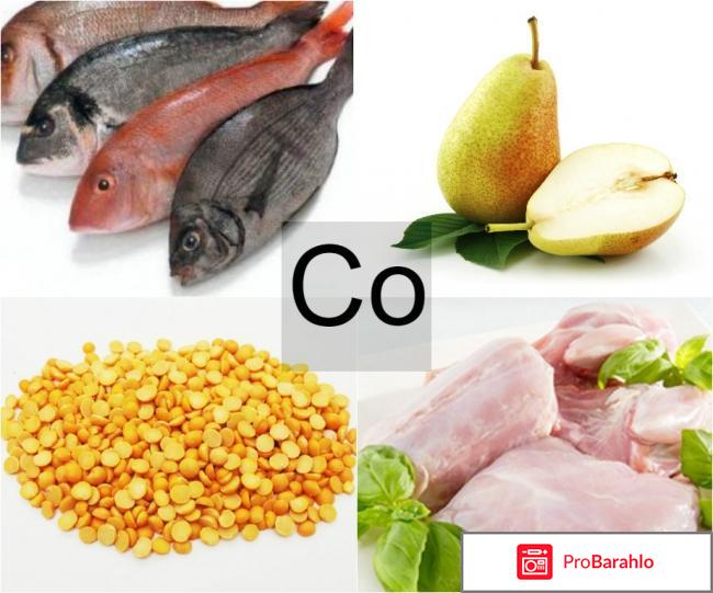 Кобальт (Co, Cobaltum): в каких продуктах содержится отрицательные отзывы