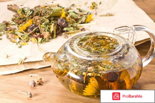 Лечение ожирения народными средствами: сборы трав обман