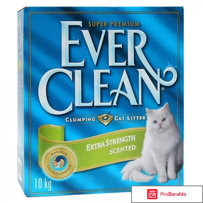 Ever clean 