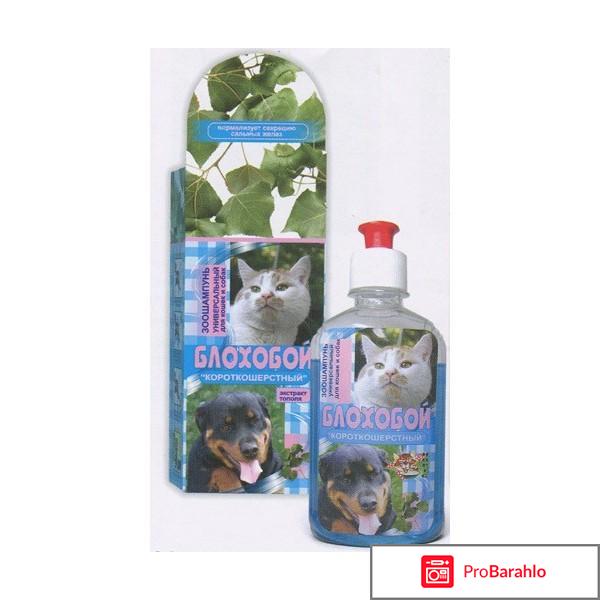 Шампунь блохобой отзывы отрицательные отзывы