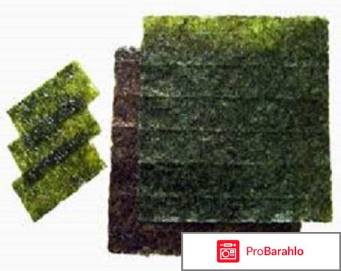 Сушеные водоросли ламинарию 