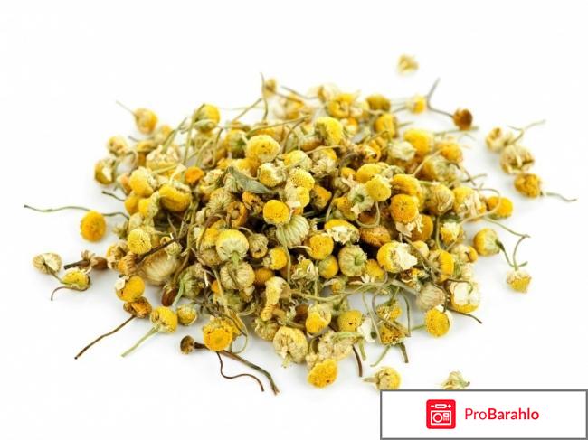 Травы для лечения кишечника отрицательные отзывы