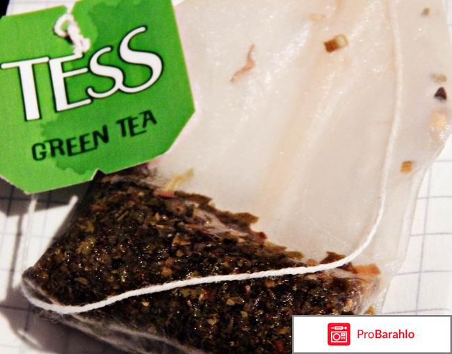 Зелёный чай с цитрусами Tess отрицательные отзывы