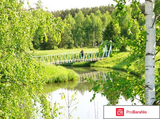 Отзывы санаторий сосновый бор 