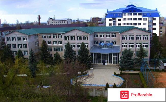 Синергия обман