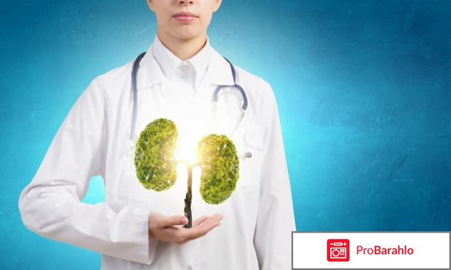 Пульмонолог спб отзывы обман