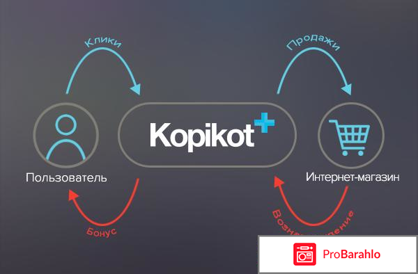 Отзыв про Сайт Kopikot.ru: `Kopikot и Aliexpress, как все` отрицательные отзывы