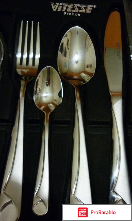 Набор столовых приборов Vitesse Tarana отрицательные отзывы