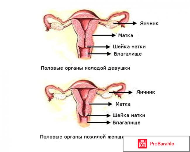 Гемафемин инструкция по применению цена обман