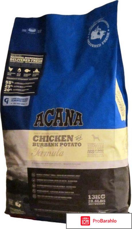 Корм акана для собак отзывы ветеринаров 