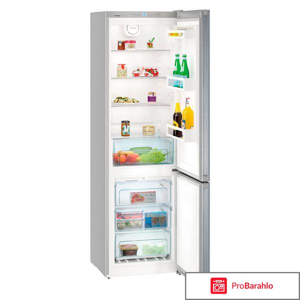 Двухкамерный холодильник Liebherr CNP 4813 