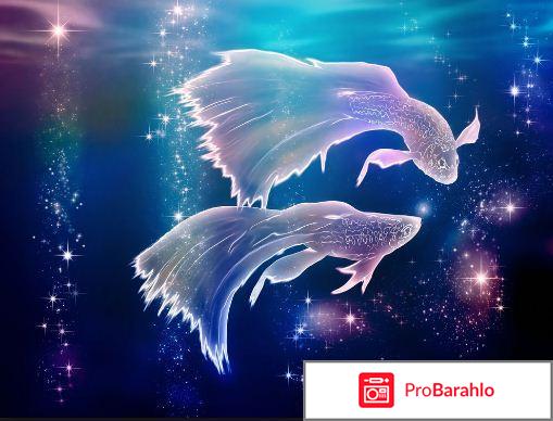 Цвета знаков зодиака обман