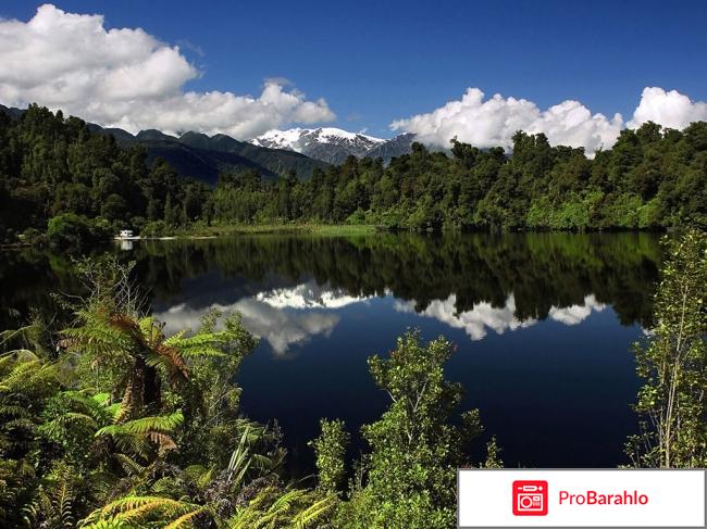 Одеколон «Новая Зеландия» (New Zealand) Demeter отрицательные отзывы