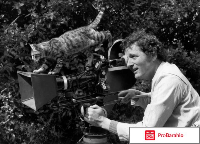 Коллекция Клода Зиди (4 DVD) 