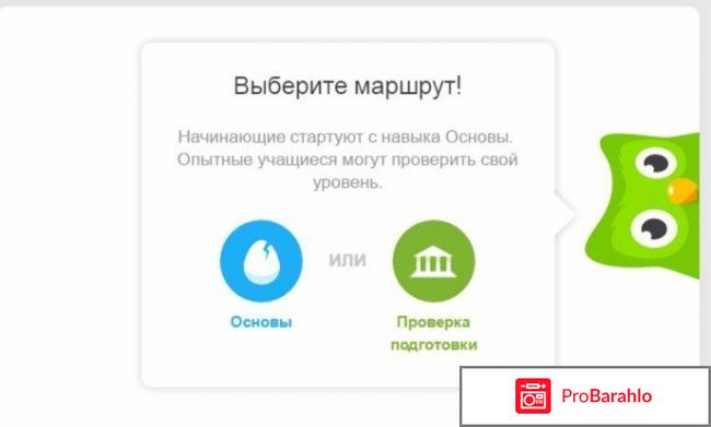 Сайт изучения иностранных языков Duolingo фото